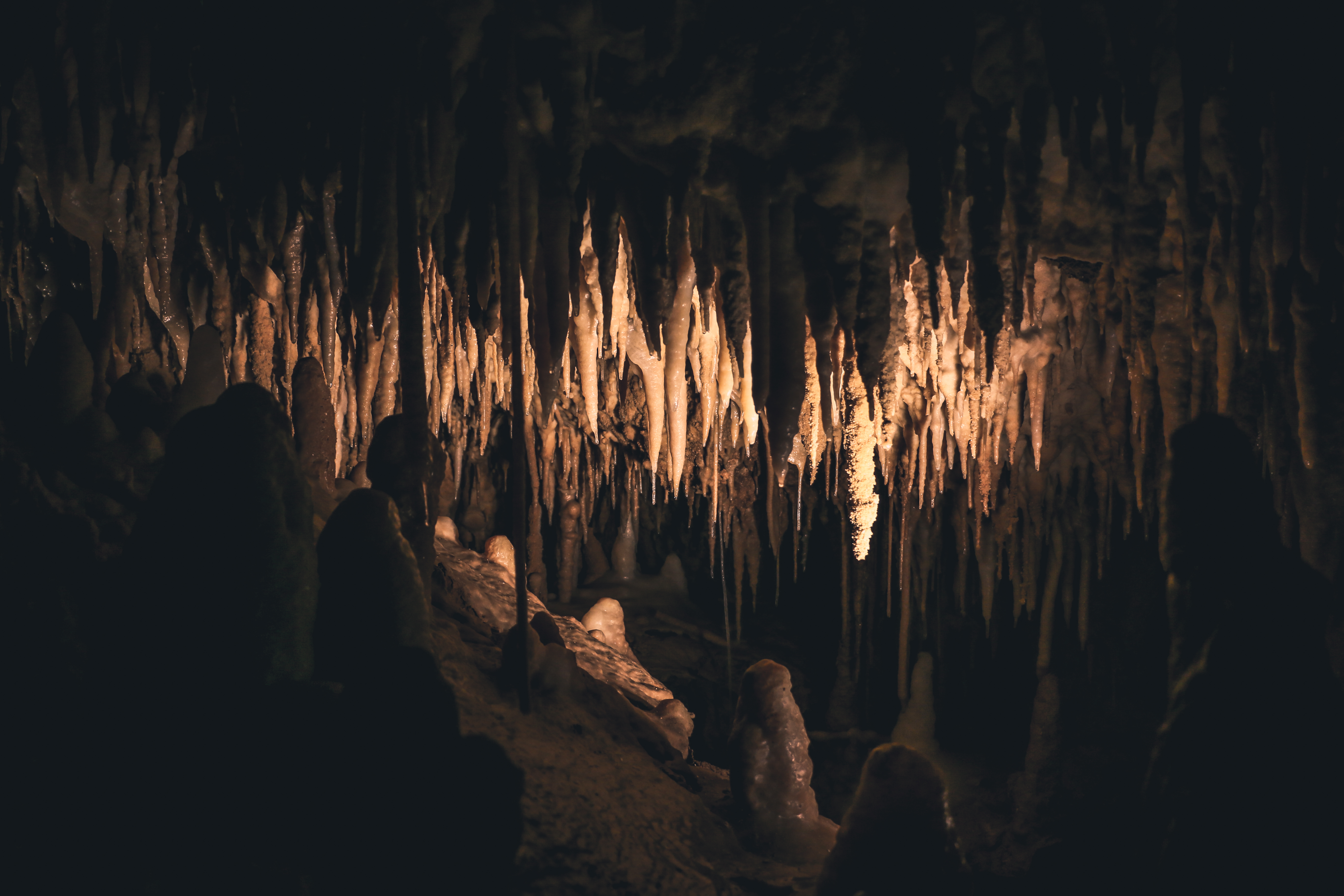 An Underground Adventure at Cave of the Winds Mountain Park